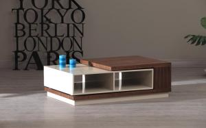 Zoom Coffee Table5