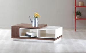 Zoom Coffee Table6